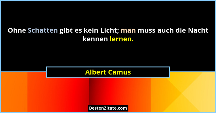 Ohne Schatten gibt es kein Licht; man muss auch die Nacht kennen lernen.... - Albert Camus
