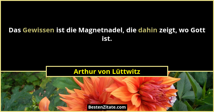 Das Gewissen ist die Magnetnadel, die dahin zeigt, wo Gott ist.... - Arthur von Lüttwitz