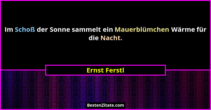Im Schoß der Sonne sammelt ein Mauerblümchen Wärme für die Nacht.... - Ernst Ferstl