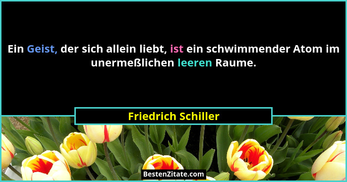 Ein Geist, der sich allein liebt, ist ein schwimmender Atom im unermeßlichen leeren Raume.... - Friedrich Schiller