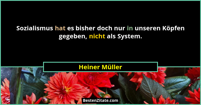 Sozialismus hat es bisher doch nur in unseren Köpfen gegeben, nicht als System.... - Heiner Müller
