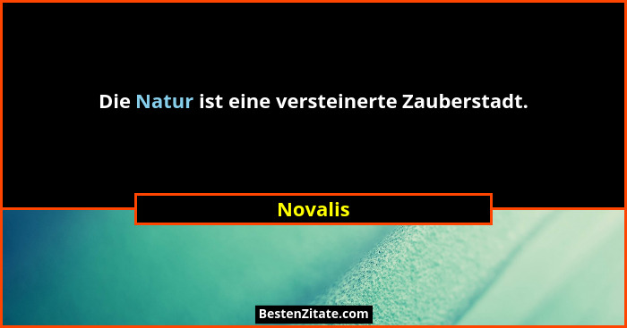 Die Natur ist eine versteinerte Zauberstadt.... - Novalis