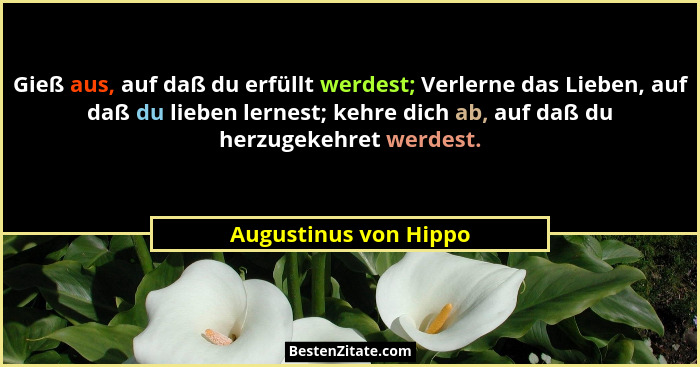 Gieß aus, auf daß du erfüllt werdest; Verlerne das Lieben, auf daß du lieben lernest; kehre dich ab, auf daß du herzugekehret w... - Augustinus von Hippo