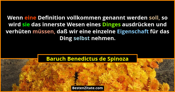 Wenn eine Definition vollkommen genannt werden soll, so wird sie das innerste Wesen eines Dinges ausdrücken und verhüte... - Baruch Benedictus de Spinoza