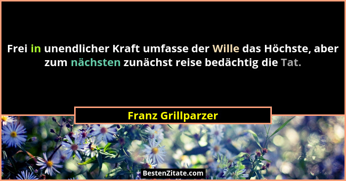Frei in unendlicher Kraft umfasse der Wille das Höchste, aber zum nächsten zunächst reise bedächtig die Tat.... - Franz Grillparzer