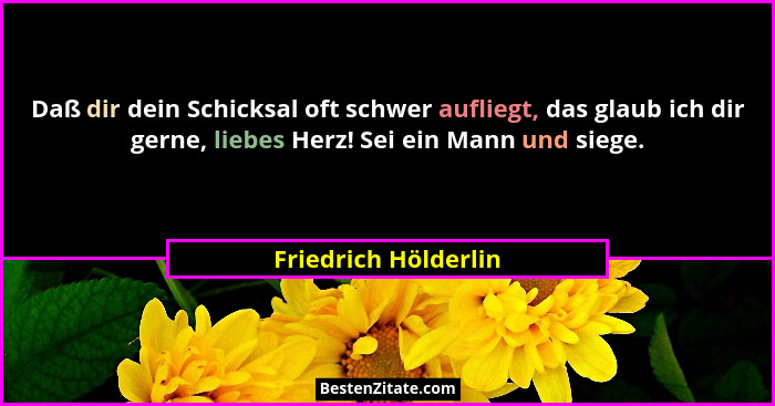 Daß dir dein Schicksal oft schwer aufliegt, das glaub ich dir gerne, liebes Herz! Sei ein Mann und siege.... - Friedrich Hölderlin