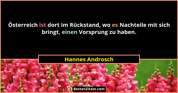 Österreich ist dort im Rückstand, wo es Nachteile mit sich bringt, einen Vorsprung zu haben.... - Hannes Androsch