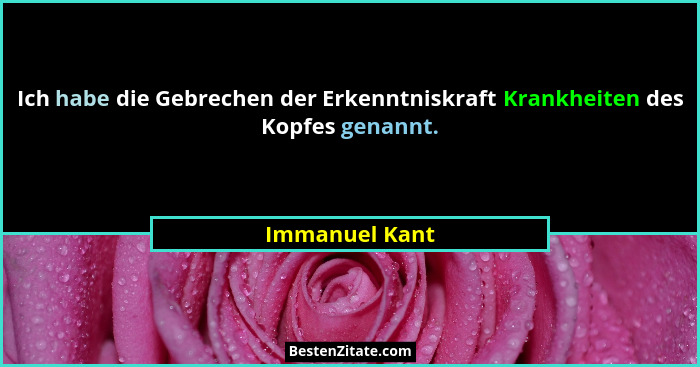 Ich habe die Gebrechen der Erkenntniskraft Krankheiten des Kopfes genannt.... - Immanuel Kant