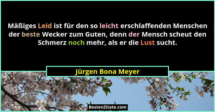 Mäßiges Leid ist für den so leicht erschlaffenden Menschen der beste Wecker zum Guten, denn der Mensch scheut den Schmerz noch meh... - Jürgen Bona Meyer