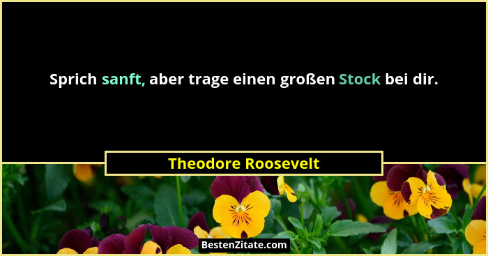 Sprich sanft, aber trage einen großen Stock bei dir.... - Theodore Roosevelt