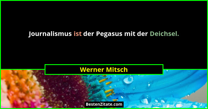 Journalismus ist der Pegasus mit der Deichsel.... - Werner Mitsch