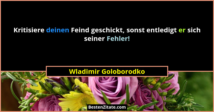 Kritisiere deinen Feind geschickt, sonst entledigt er sich seiner Fehler!... - Wladimir Goloborodko