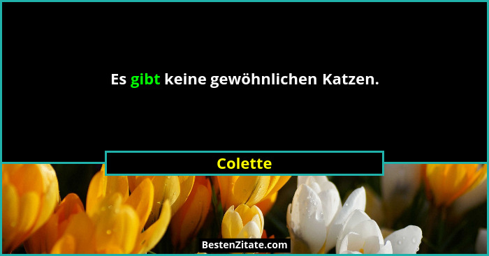 Es gibt keine gewöhnlichen Katzen.... - Colette
