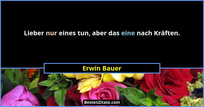 Lieber nur eines tun, aber das eine nach Kräften.... - Erwin Bauer