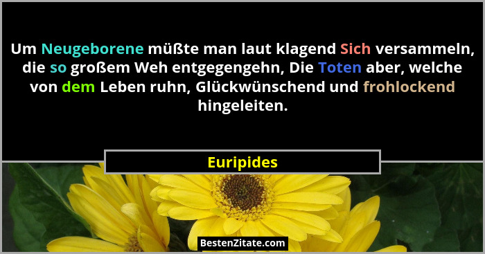 Um Neugeborene müßte man laut klagend Sich versammeln, die so großem Weh entgegengehn, Die Toten aber, welche von dem Leben ruhn, Glückwün... - Euripides