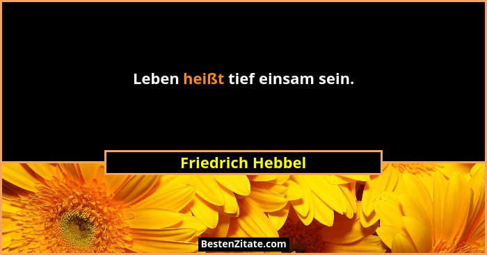 Leben heißt tief einsam sein.... - Friedrich Hebbel
