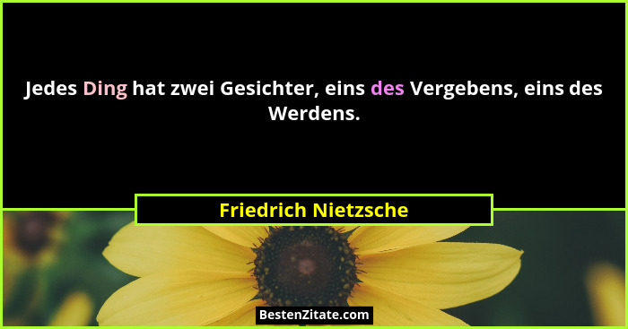 Jedes Ding hat zwei Gesichter, eins des Vergebens, eins des Werdens.... - Friedrich Nietzsche