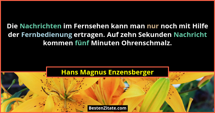 Die Nachrichten im Fernsehen kann man nur noch mit Hilfe der Fernbedienung ertragen. Auf zehn Sekunden Nachricht kommen fün... - Hans Magnus Enzensberger