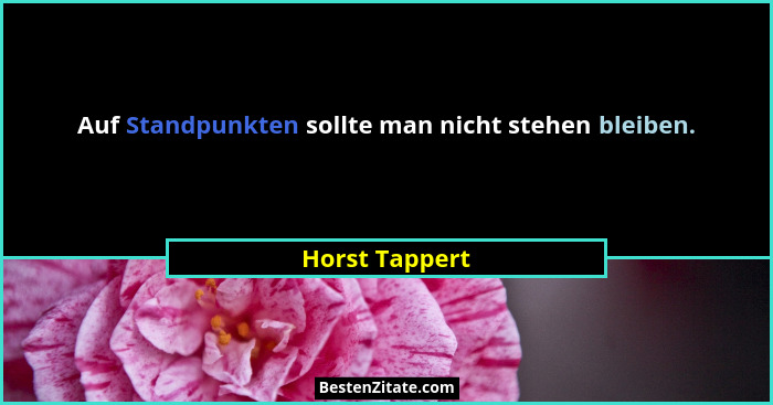Auf Standpunkten sollte man nicht stehen bleiben.... - Horst Tappert
