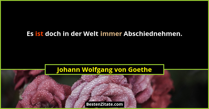 Es ist doch in der Welt immer Abschiednehmen.... - Johann Wolfgang von Goethe