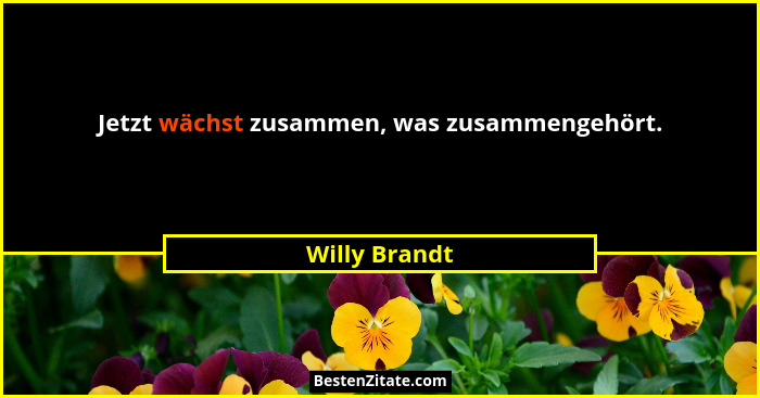 Jetzt wächst zusammen, was zusammengehört.... - Willy Brandt
