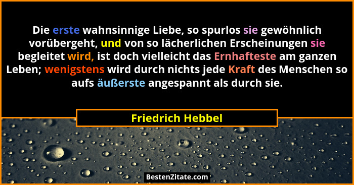 Die erste wahnsinnige Liebe, so spurlos sie gewöhnlich vorübergeht, und von so lächerlichen Erscheinungen sie begleitet wird, ist d... - Friedrich Hebbel