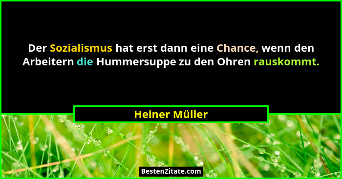 Der Sozialismus hat erst dann eine Chance, wenn den Arbeitern die Hummersuppe zu den Ohren rauskommt.... - Heiner Müller