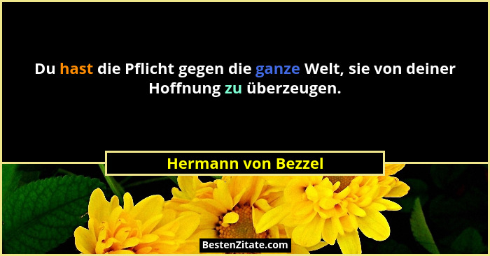 Du hast die Pflicht gegen die ganze Welt, sie von deiner Hoffnung zu überzeugen.... - Hermann von Bezzel