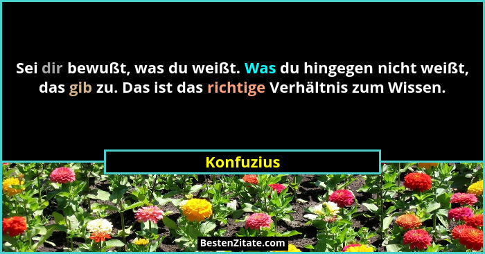 Sei dir bewußt, was du weißt. Was du hingegen nicht weißt, das gib zu. Das ist das richtige Verhältnis zum Wissen.... - Konfuzius