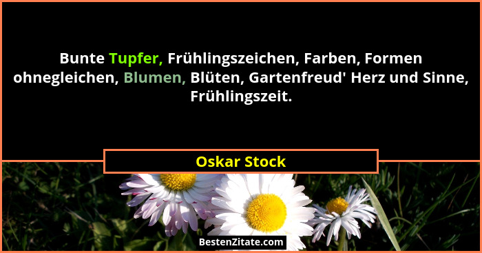 Bunte Tupfer, Frühlingszeichen, Farben, Formen ohnegleichen, Blumen, Blüten, Gartenfreud' Herz und Sinne, Frühlingszeit.... - Oskar Stock
