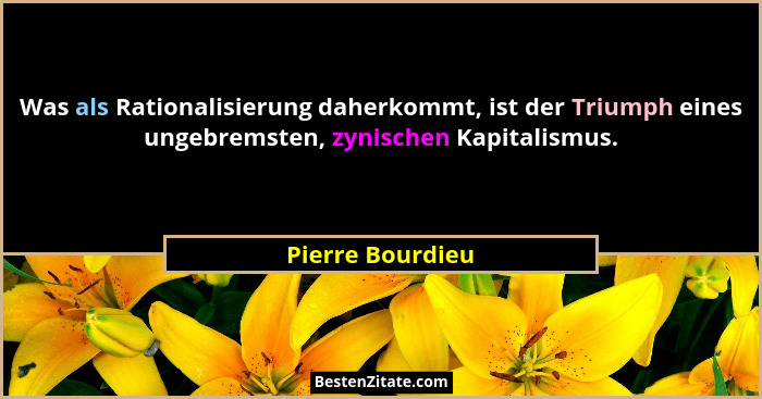Was als Rationalisierung daherkommt, ist der Triumph eines ungebremsten, zynischen Kapitalismus.... - Pierre Bourdieu