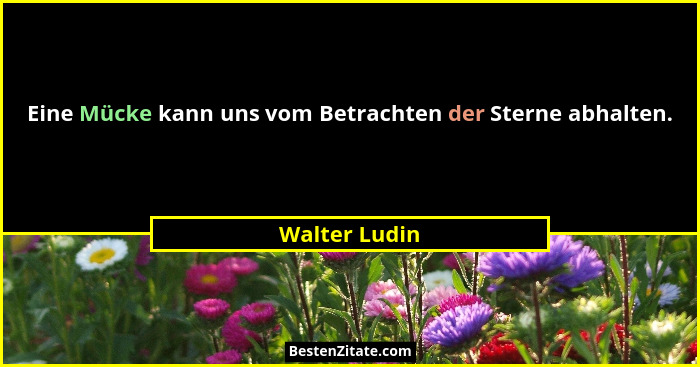 Eine Mücke kann uns vom Betrachten der Sterne abhalten.... - Walter Ludin