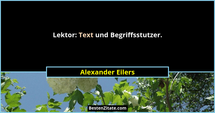 Lektor: Text und Begriffsstutzer.... - Alexander Eilers