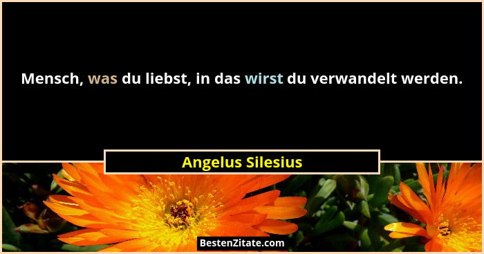 Mensch, was du liebst, in das wirst du verwandelt werden.... - Angelus Silesius