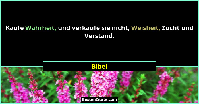 Kaufe Wahrheit, und verkaufe sie nicht, Weisheit, Zucht und Verstand.... - Bibel