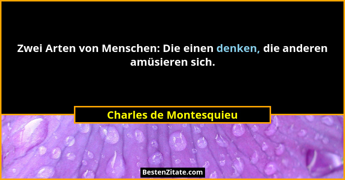 Zwei Arten von Menschen: Die einen denken, die anderen amüsieren sich.... - Charles de Montesquieu