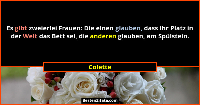 Es gibt zweierlei Frauen: Die einen glauben, dass ihr Platz in der Welt das Bett sei, die anderen glauben, am Spülstein.... - Colette