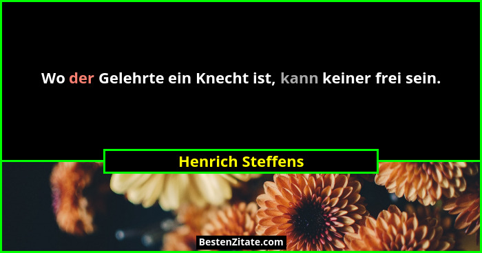 Wo der Gelehrte ein Knecht ist, kann keiner frei sein.... - Henrich Steffens