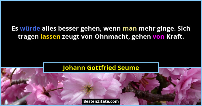 Es würde alles besser gehen, wenn man mehr ginge. Sich tragen lassen zeugt von Ohnmacht, gehen von Kraft.... - Johann Gottfried Seume
