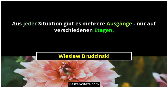 Aus jeder Situation gibt es mehrere Ausgänge - nur auf verschiedenen Etagen.... - Wieslaw Brudzinski