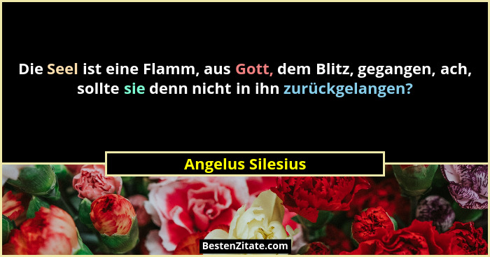 Die Seel ist eine Flamm, aus Gott, dem Blitz, gegangen, ach, sollte sie denn nicht in ihn zurückgelangen?... - Angelus Silesius