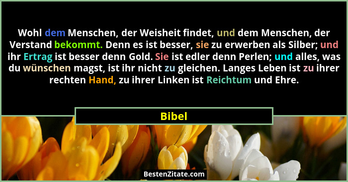 Wohl dem Menschen, der Weisheit findet, und dem Menschen, der Verstand bekommt. Denn es ist besser, sie zu erwerben als Silber; und ihr Ertrag... - Bibel
