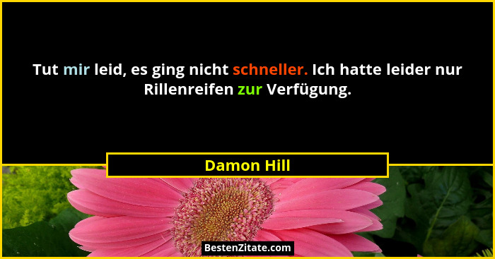 Tut mir leid, es ging nicht schneller. Ich hatte leider nur Rillenreifen zur Verfügung.... - Damon Hill