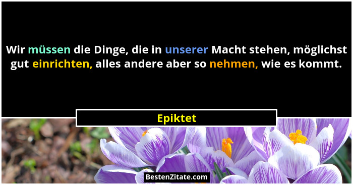 Wir müssen die Dinge, die in unserer Macht stehen, möglichst gut einrichten, alles andere aber so nehmen, wie es kommt.... - Epiktet