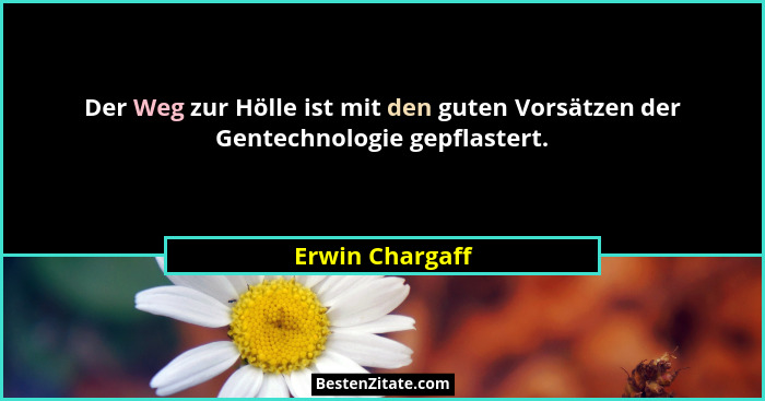Der Weg zur Hölle ist mit den guten Vorsätzen der Gentechnologie gepflastert.... - Erwin Chargaff