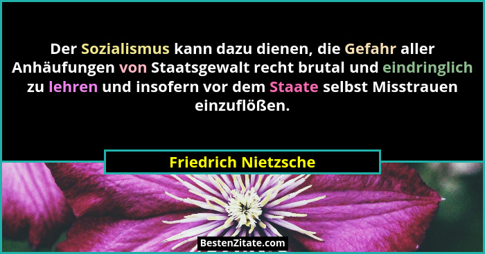 Der Sozialismus kann dazu dienen, die Gefahr aller Anhäufungen von Staatsgewalt recht brutal und eindringlich zu lehren und inso... - Friedrich Nietzsche