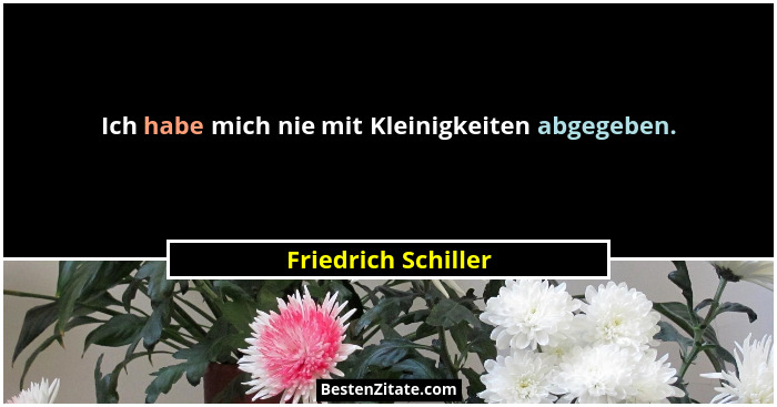 Ich habe mich nie mit Kleinigkeiten abgegeben.... - Friedrich Schiller