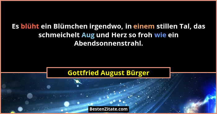 Es blüht ein Blümchen irgendwo, in einem stillen Tal, das schmeichelt Aug und Herz so froh wie ein Abendsonnenstrahl.... - Gottfried August Bürger