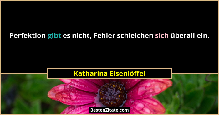 Perfektion gibt es nicht, Fehler schleichen sich überall ein.... - Katharina Eisenlöffel
