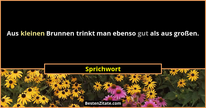 Aus kleinen Brunnen trinkt man ebenso gut als aus großen.... - Sprichwort